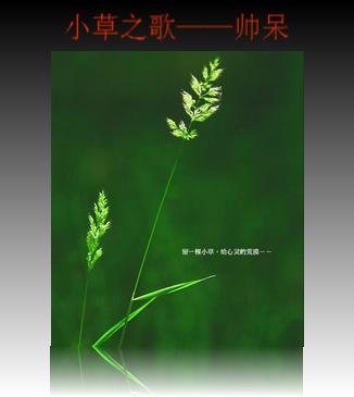 草歌