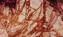 看到自己的另一面