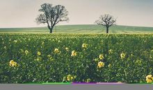 护眼就我们必须的