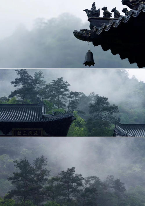 回顾水