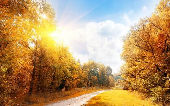 关于方案的建议800字