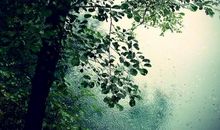 听那是雨的交响曲