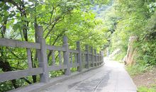 我的青春路作文