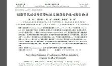 画一幅“猪头老师”