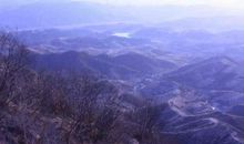 感恩的花开在异地他乡的路上