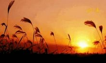 别让简单成为遗憾