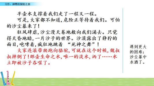 五年级书籍文本魔术冒险之旅