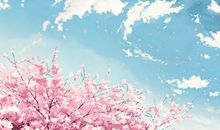 你就是我的四月天