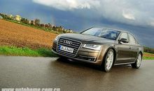 倾心聆听or坚持己见？