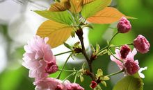 有一种美丽叫做在一起