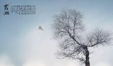 有一种美丽叫风雨兼程