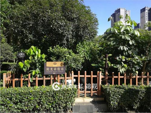 美丽的花园在我的社区