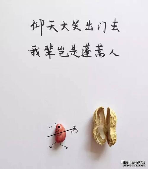 “诗歌”