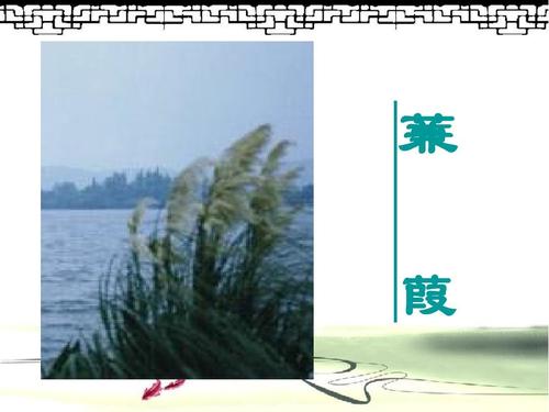 看完之后