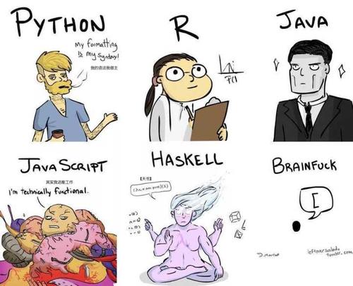 编程生活，理性或着迷