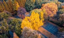 我的校园美如画