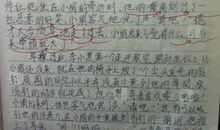 艰辛的青春路作文