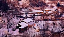 懵懂的青春路作文