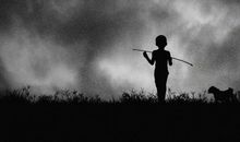 梦想是一场孤独的旅行