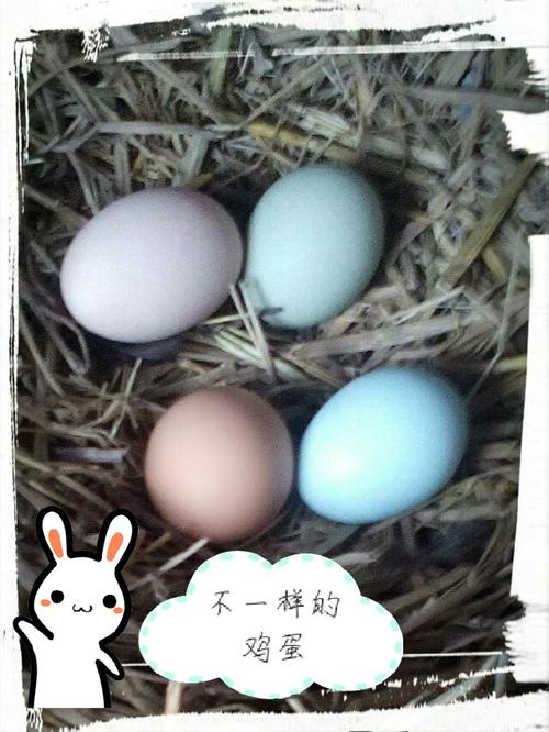 神奇的鸡蛋实验