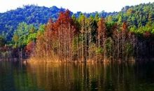 向文学更深处漫溯