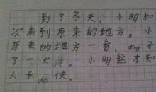 坎坷的青春路作文