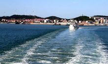 执著成就人生风景