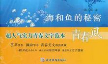 疯狂的青春路作文