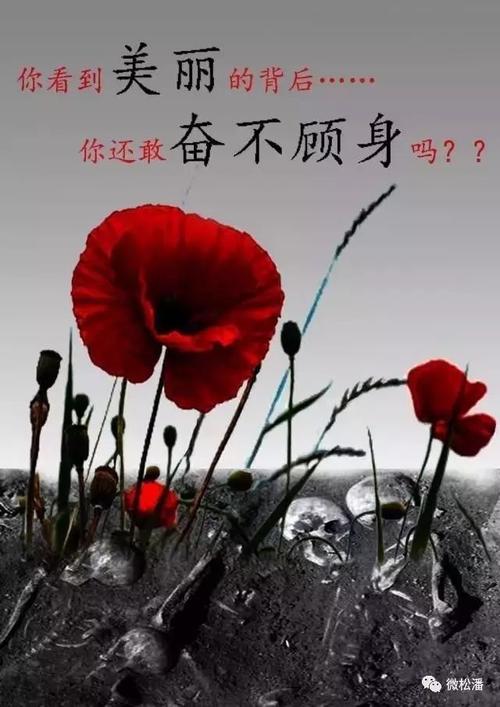 “战争”没有烟雾