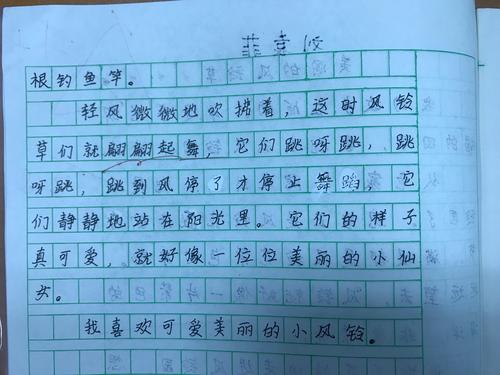 我和我的植物朋友组成
