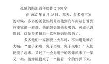 孤独的青春路作文