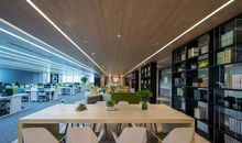 我与奶奶“共享时代”