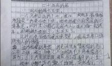 春游去哪儿玩作文三年级