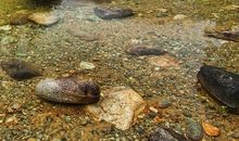 别样风景在海潮