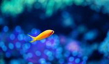 共享这个缤纷的世界