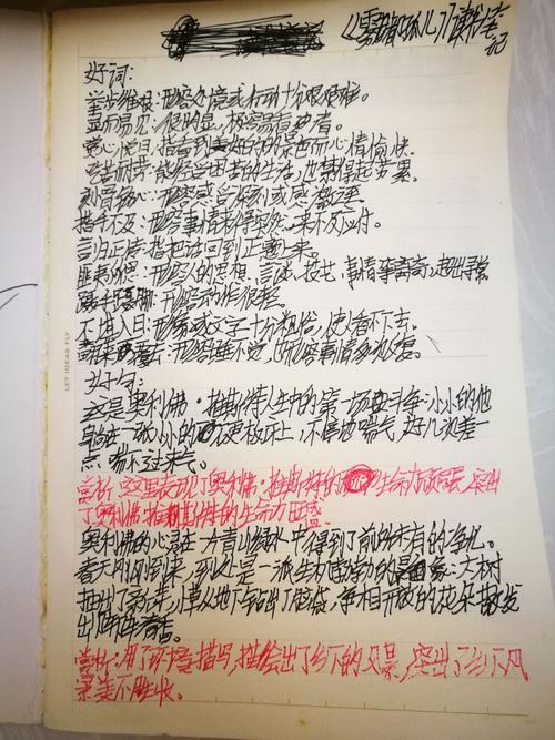 大象的主人