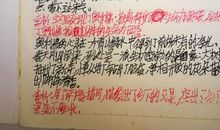 大象的主人读后感