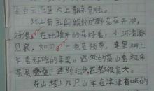 最美的色彩作文