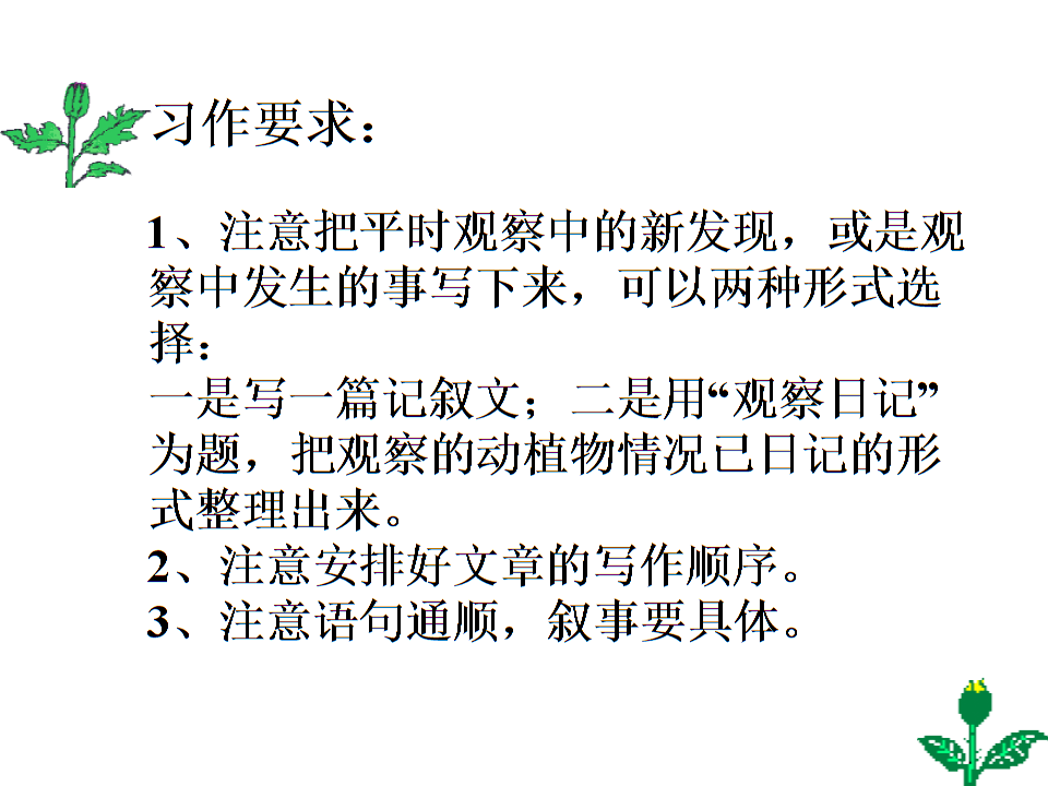 写观察日记第四年级书