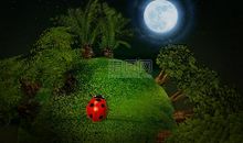 我来到了心境星球