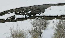 请保护春天的小河