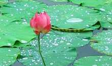 青青校园悠悠我心