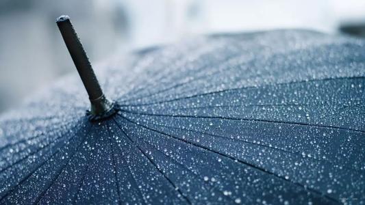 四季雨是一种语言