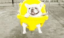 都是急速惹的祸