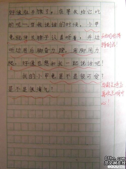 我最喜欢的动物组成400字四年级