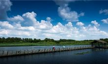 溱湖我心中的湿地家园