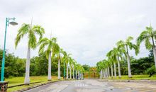 校园里的美好回忆