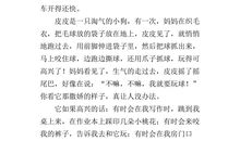 三年级我做了一项小实验作文300字