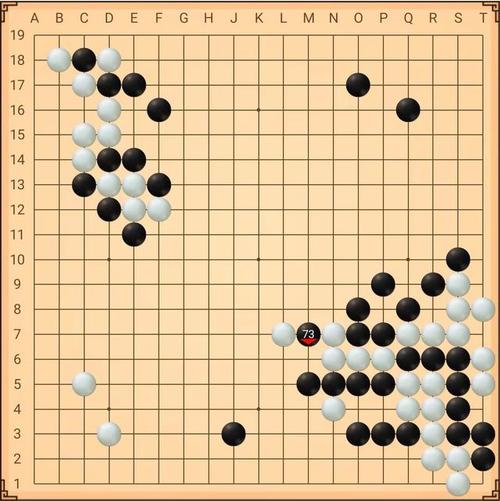 我的一双职业生涯