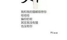 其实我不愿骗你